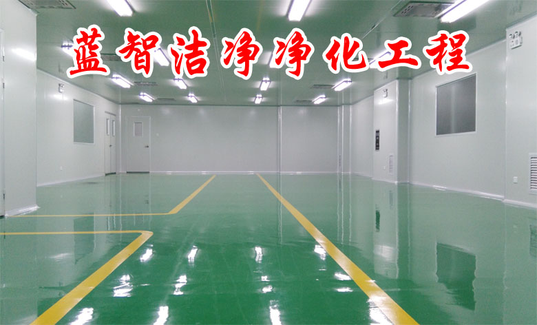 藍智潔凈空氣凈化公司